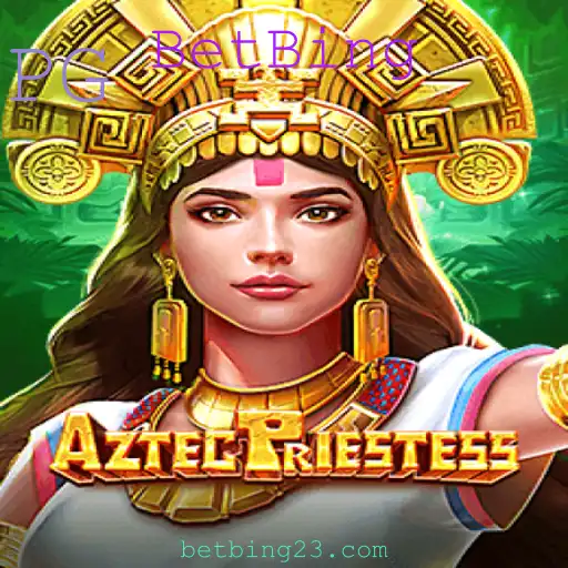 BetBing Casino App