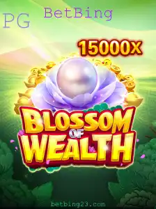 BetBing Casino App
