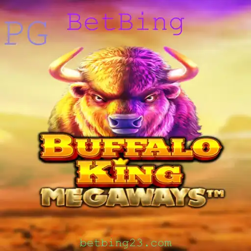 BetBing Casino App