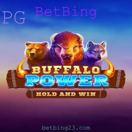 BetBing Cassino ao vivo