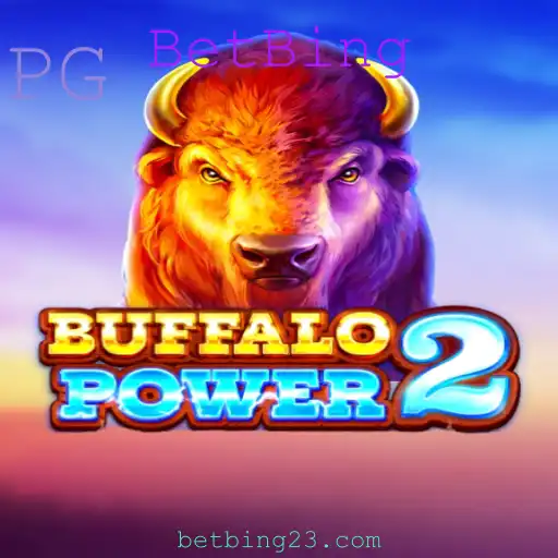 BetBing Casino App