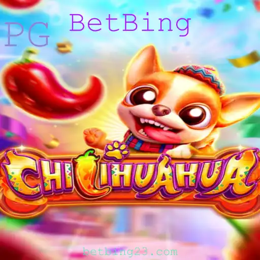 BetBing Casino App