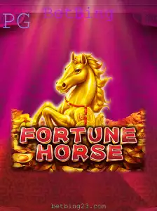 BetBing Casino App