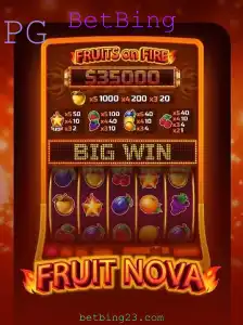 BetBing Casino App