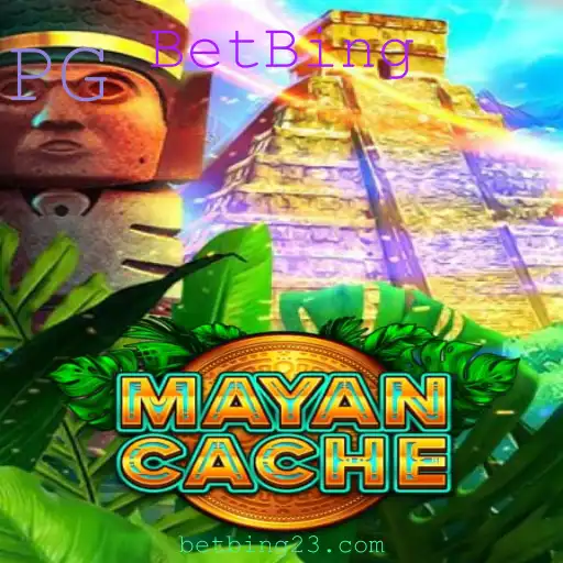BetBing Casino App
