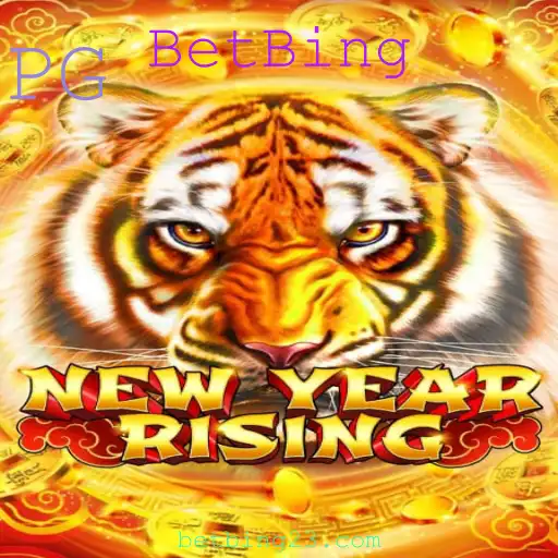 BetBing Casino App