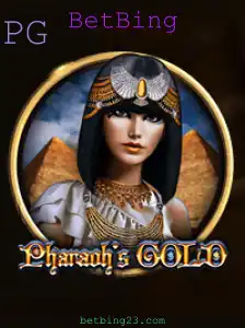 BetBing Casino App